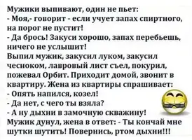 5.webp