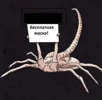 (12).webp