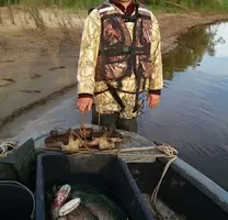 улов.webp