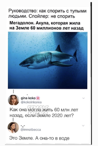 CC9BE4FE-A3F7-414A-A3B8-F34628E3B10A.webp