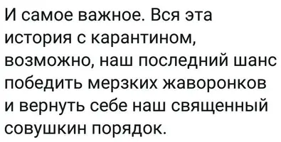 986A0AF1-2B74-4E90-BEEE-8481A052FC89.webp