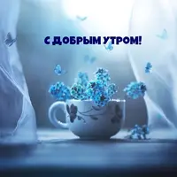 0fe09fcefa4df1ab8af29f7ed40e701b.webp