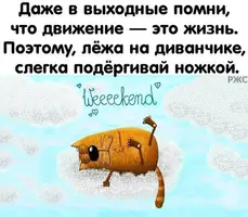 (4).webp