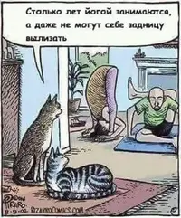 (6).webp