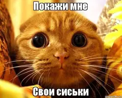 5E3D868E-B2A0-4182-88A3-6BD4CFFA2166.webp