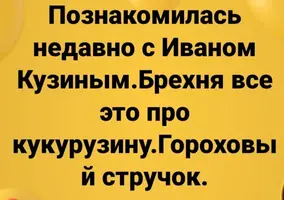 (5).webp
