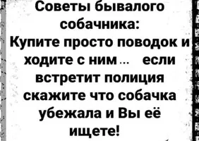(8).webp