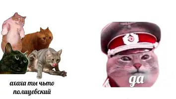 85D04C9C-3AF5-4210-AB2C-8BCF4AE07ECB.webp