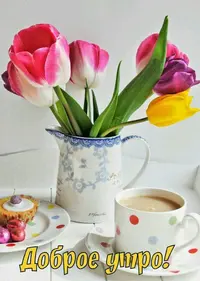 DdSvi2LX0AAqlnv.webp