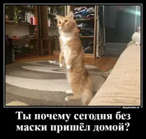002.webp