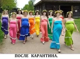 004.webp