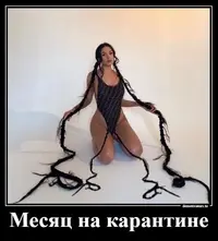 005.webp