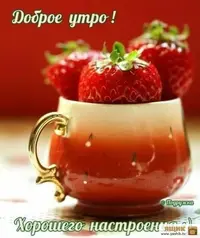 b6bdb3899c23705338cc87b5d766d7ad.webp