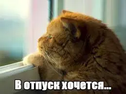images (6).webp