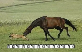 75731606-A6A3-4B6C-96D1-FF5DE4A96024.webp