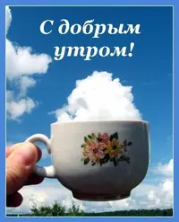 unnamed (11).webp