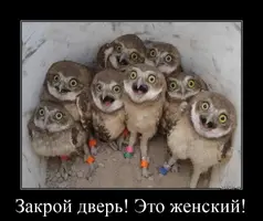 1584517685_demy-1.webp