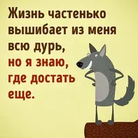uHk9arxhKLM.webp