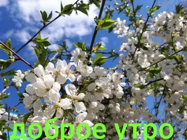 IMG-20200419-WA0002.webp