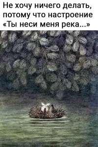 ndyGUGeIfog.webp
