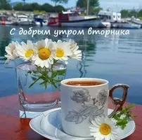 unnamed (1).webp