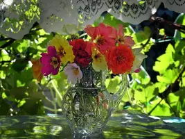 1923778.webp