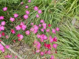 DSCN0141.webp