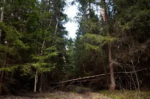 _DSC5528.webp