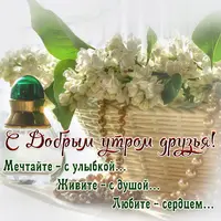 utro0087.webp