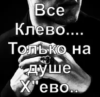 CF53BF5B-0C78-4077-A6BF-E4BD39104A13.webp
