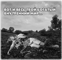 6677B05A-74BB-4F14-8F50-A3168AC4F71B.webp