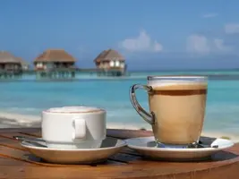image.webp