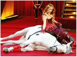 Новый рисунок (2).webp