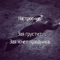 a288b422df9ab6862ddc79c850d5e2b8.webp