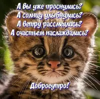 ca91b80c944d1bfb45ae6fa1092f663b.webp
