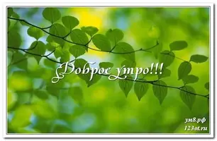 dobrogo-utra-i-horoshego-dnya-kartinka-parnyu-drugu-919249.webp