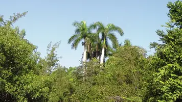 SAM_0240.webp
