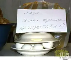 866633.webp