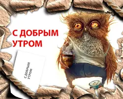 LE.webp