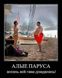 (2).webp