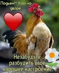 dc2e157d1698104948bcb6552d9a0c49.webp