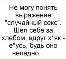 5.webp