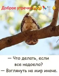 IMG-f91e4d4268a99ce4afe7f60e6c37db37-V.webp