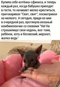 (2).webp