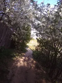 IMG_20190429_175032.webp