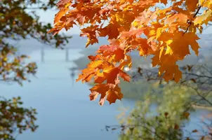 s1200 (3).webp
