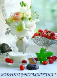 i-6.webp