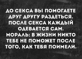 fmdSAOwTn38.webp