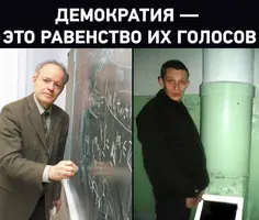 13069309.webp