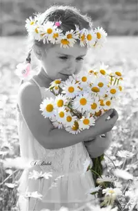 DZmrBhVXcAAaIgM.webp